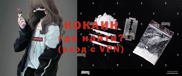 дмт Алзамай