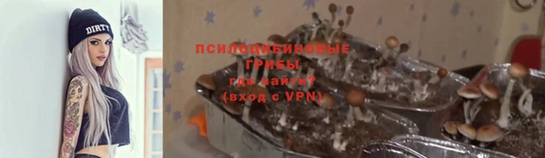 дживик Алексеевка