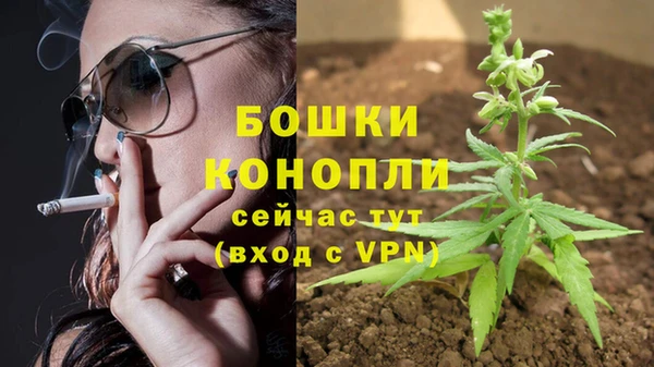 бошки Абинск