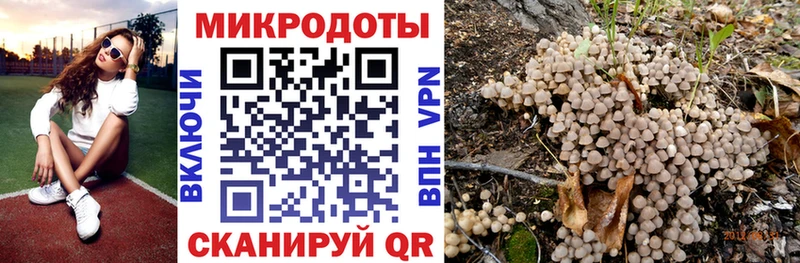 дарнет шоп  Вологда  Псилоцибиновые грибы ЛСД 